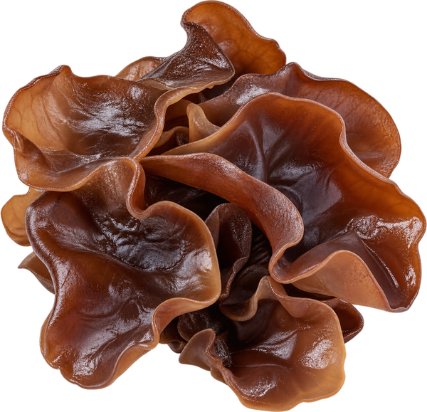 Wood Ear